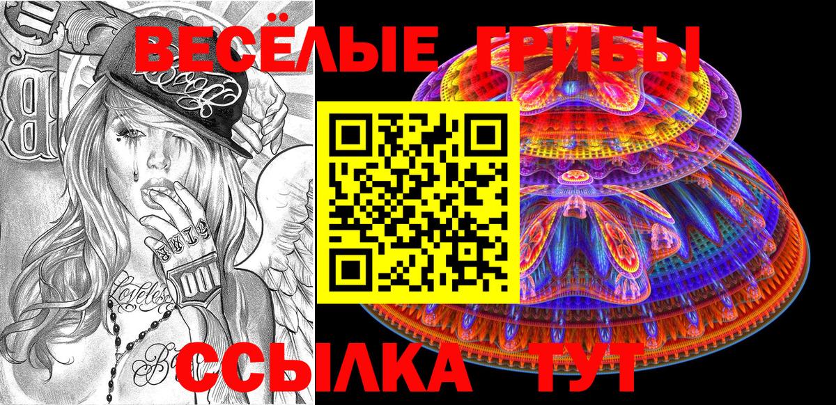 Протвино  Галлюциногенные грибы ЛСД  Вход с VPN 